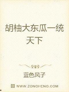 网红大瓜小说免费阅读,免费阅读背后的秘密与诱惑